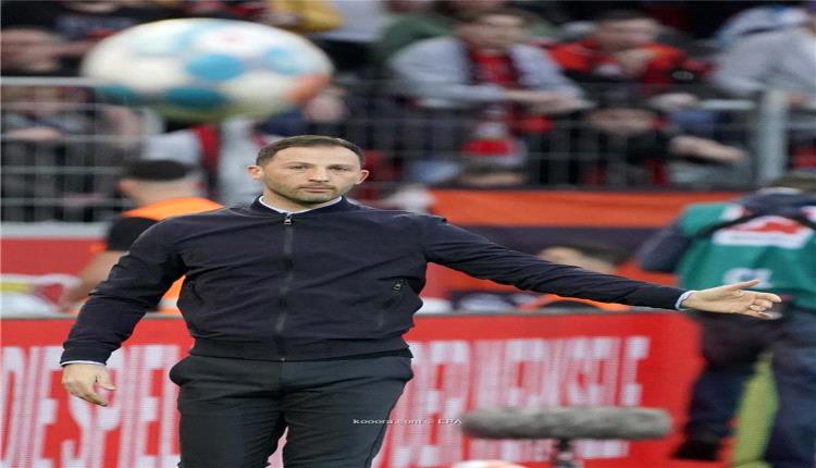 مدرب بلجيكا الجديد: المال شيء لا يجذبني