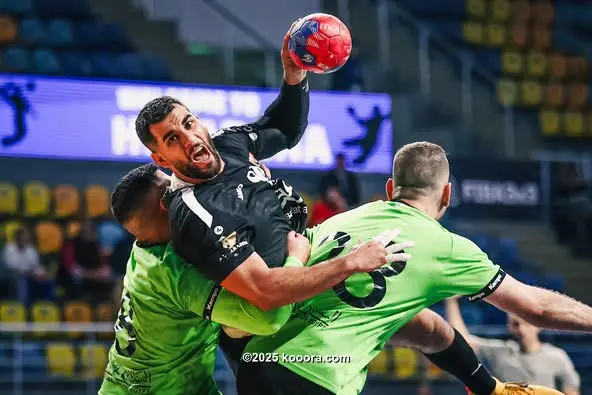 فريق الأهلي لكرة اليد يتاهل إلى نهائي كأس مصر